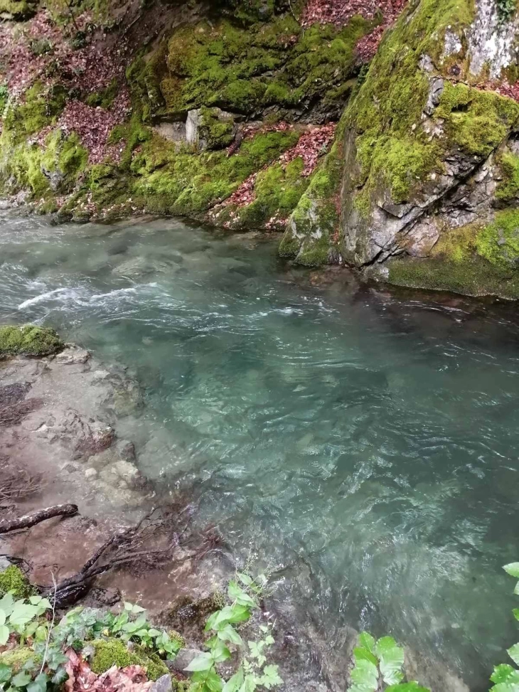 Екологисти од Кавадарци против изградба на две мали хидроцентрали на планината Кожуф 