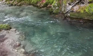 Екологисти од Кавадарци против изградба на две мали хидроцентрали на планината Кожуф 