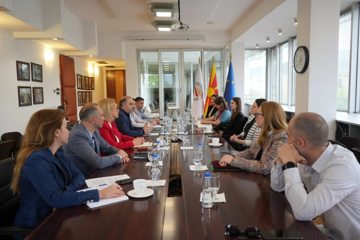 Царинската управа ја засилува борбата со фалсификувана стока, за 20 илјади запленети производи годинава е утврдено дека се фалсификати