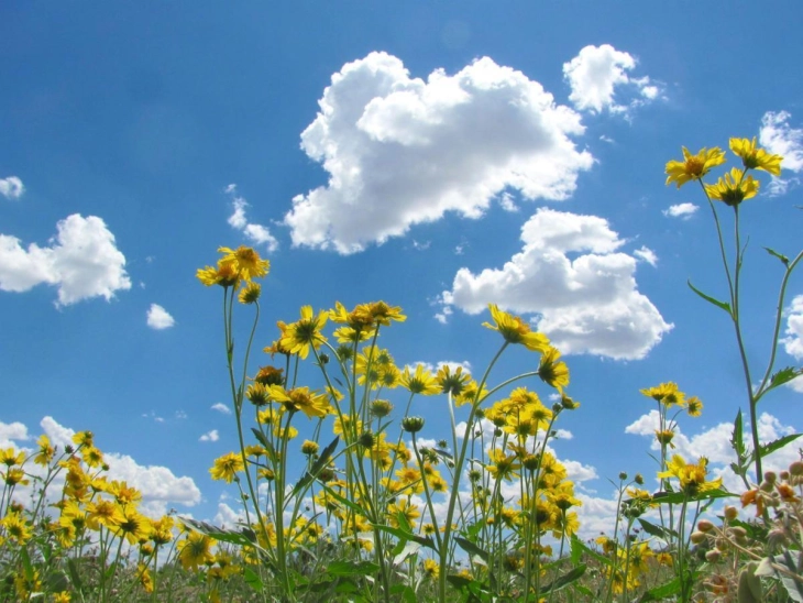 Променливо облачно со сончеви периоди