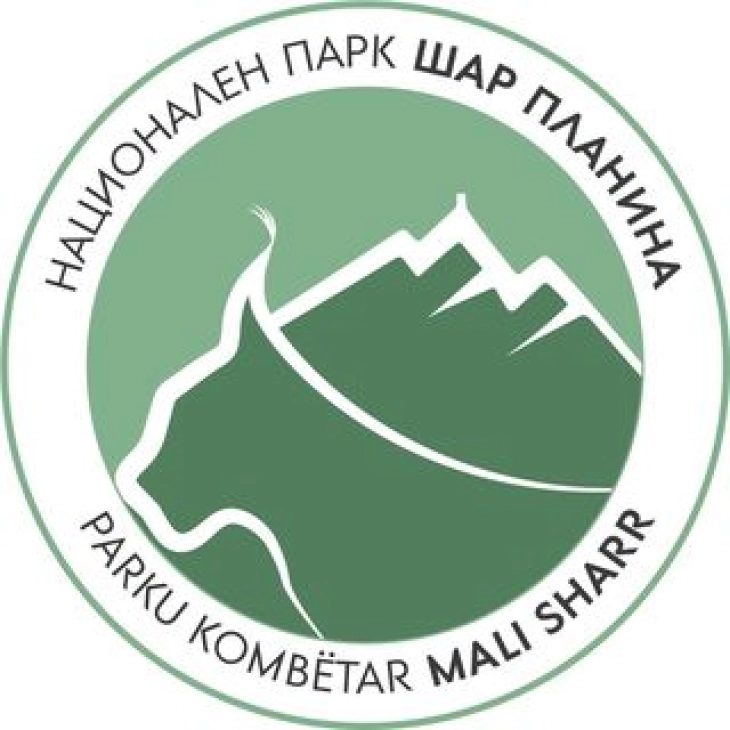 Намалени природни извори на храна на мечките на Шар Планина-потребни се јаболки и пченка за прихрана