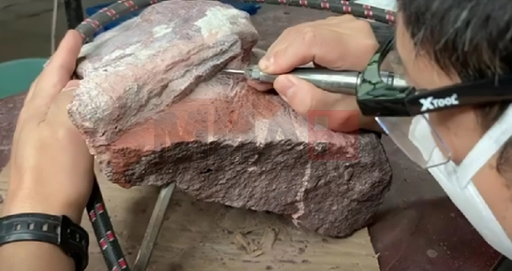 Диносаурусите можеби имаат одговор за ракот, според британски научници