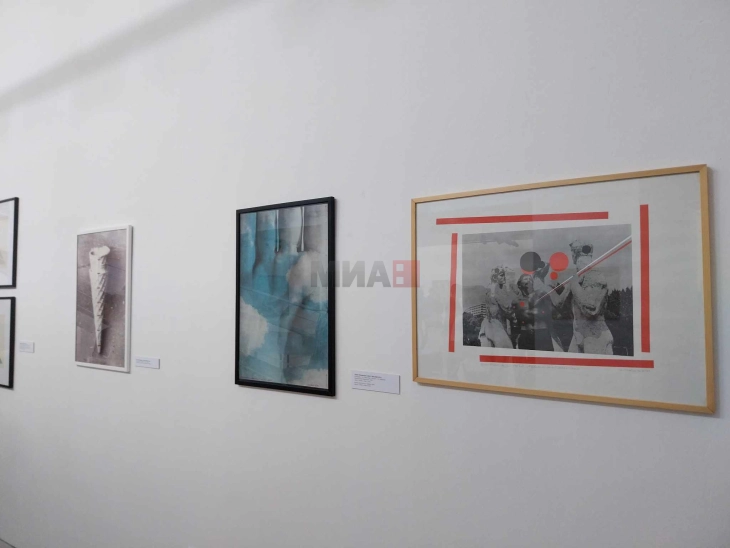 Лани имало повеќе ликовни изложби, уметници учесници и посетители