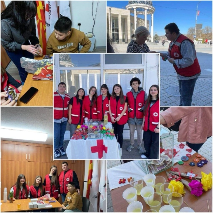 Младите волонтери на Општинскиот Црвен крст реализираа пет проекти за заедницата