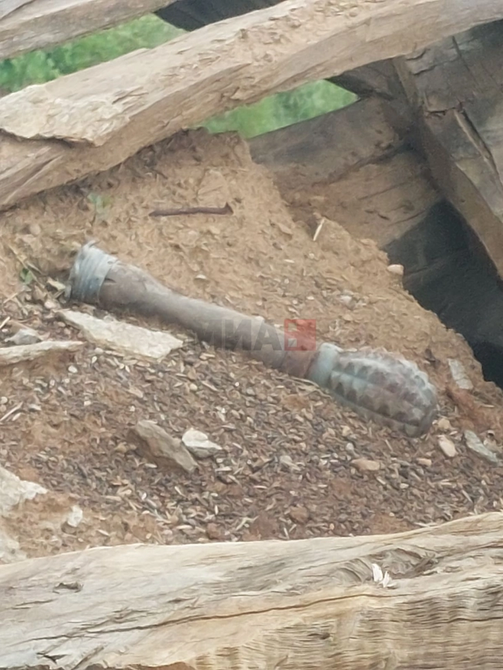 Gjendet një bombë dore në Kriva Pallankë e cila është hequr në mënyrë të sigurt