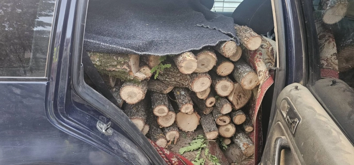 Лишени од слобода дрвокрадци во скопско, дрвата и возилото се одземени