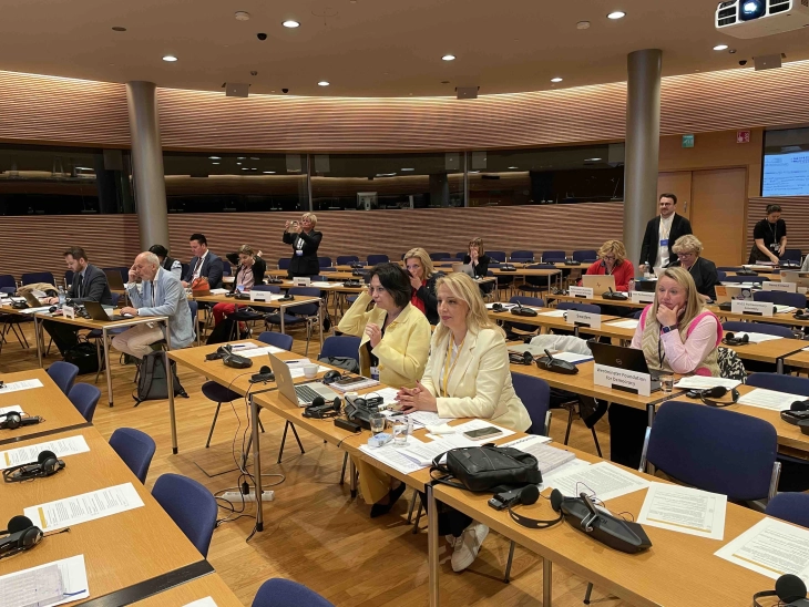 Пешевска на работилница „Остварување на еднаквите можности меѓу жените и мажите во и од парламентите“ во Хелсинки