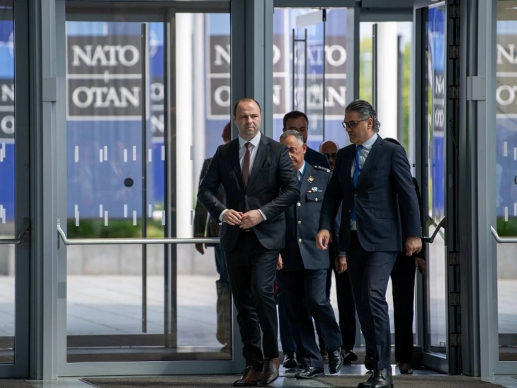 Defense Minister Misajlovski at Ukraine Defense Contact Group meeting