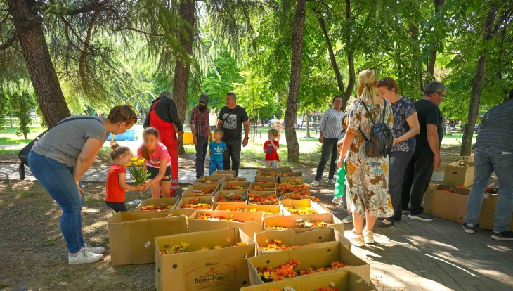 Со донација на 2000 садници сезонско цвеќе ТИТАН Усје го одбележа Светскиот ден на животната средина – 5 ти јуни