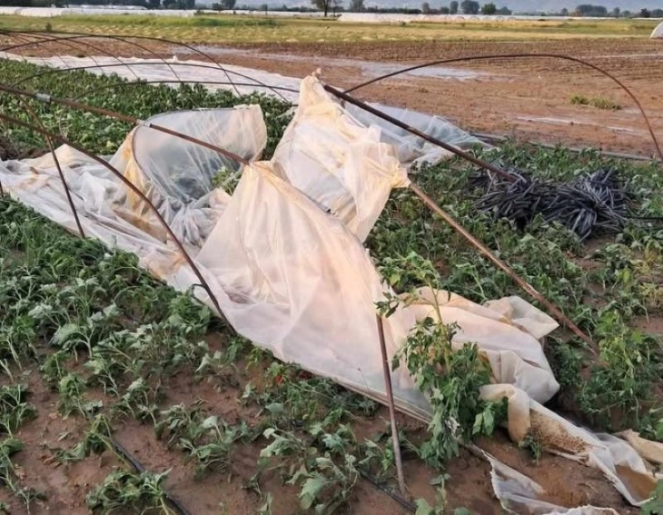 Вчерашното невреме предизвика големи штети во струмичко