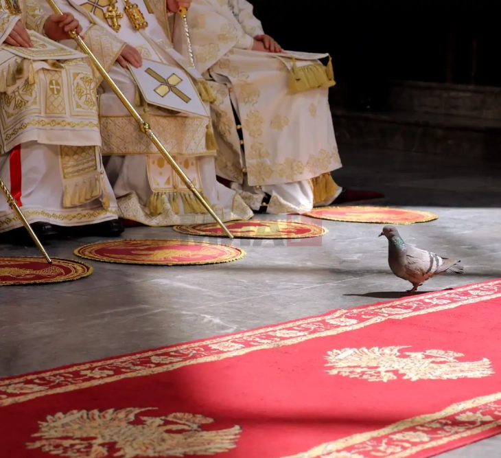 Педесетница - Роденден на Црквата, празник на помирувањето и потсетник за потребата од постојана благодарност