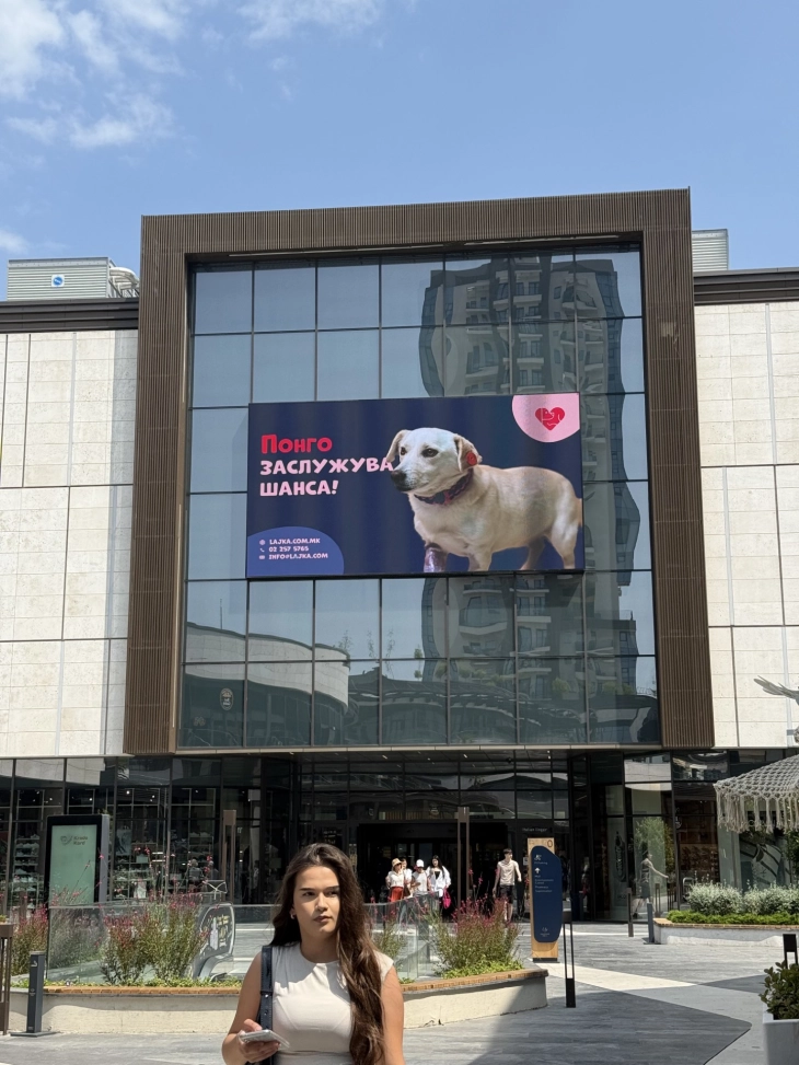 Слики на кучињата од градското прифатилиште ЈП „Лајка – Скопје