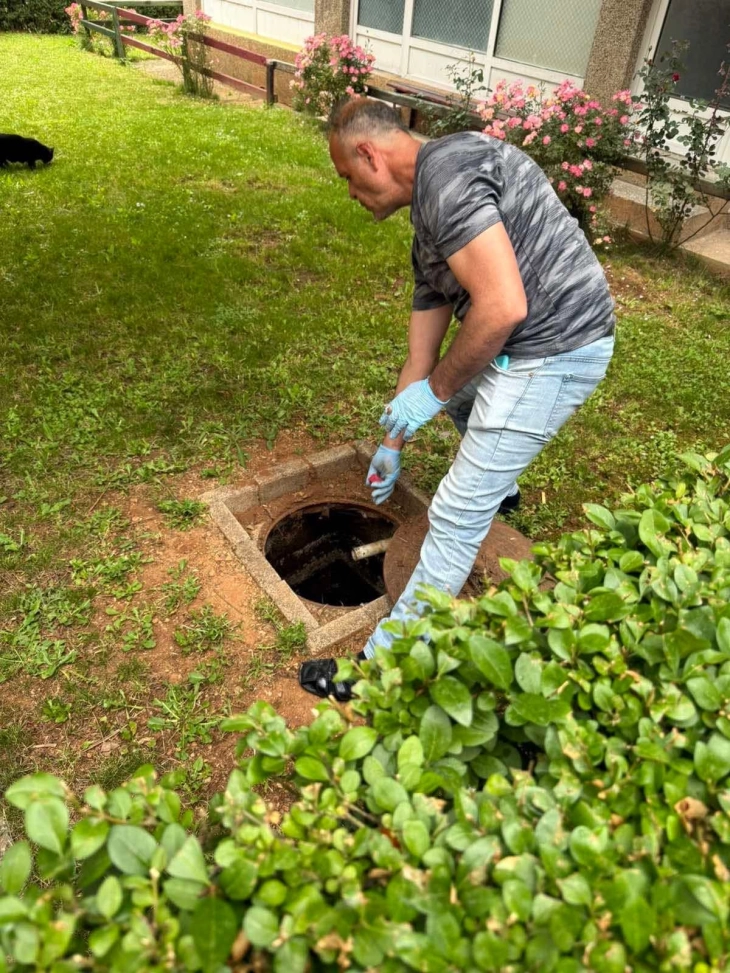 Во Дебар реализирана првата фаза за третман против глодари и дезинсекција против комарци