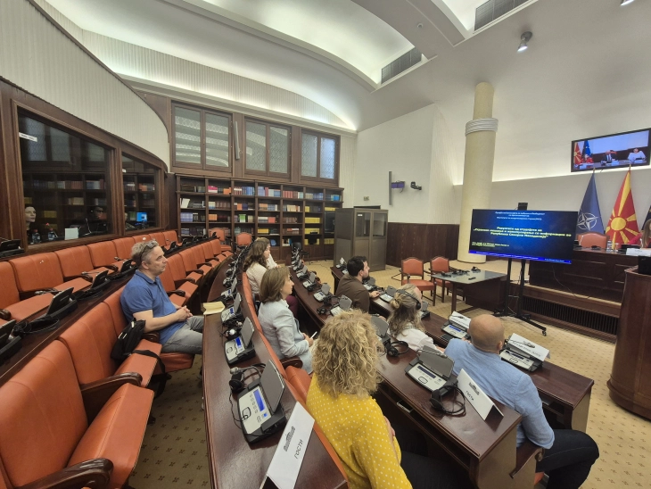 Macedonian institutions at beginner level of effectively addressing foreign interference: study