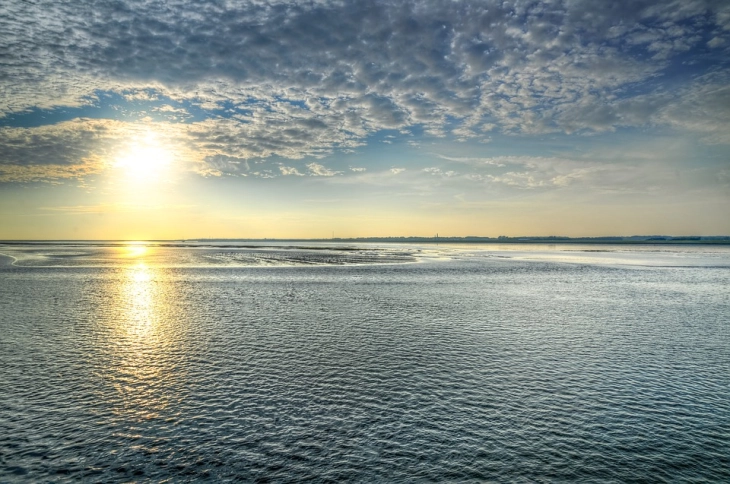 ОН Конференцијата во Ница постигна напредок за заштита на 30 отсто од океаните