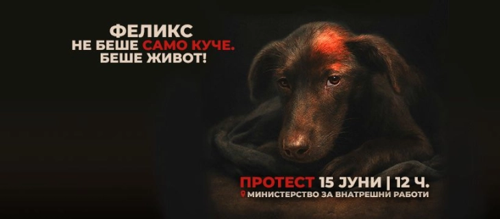 Здруженија за заштита на животни организираат протест пред Министерството за внатрешни работи