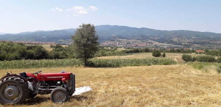 Над осум милијарди денари исплатени субвенции за земјоделците