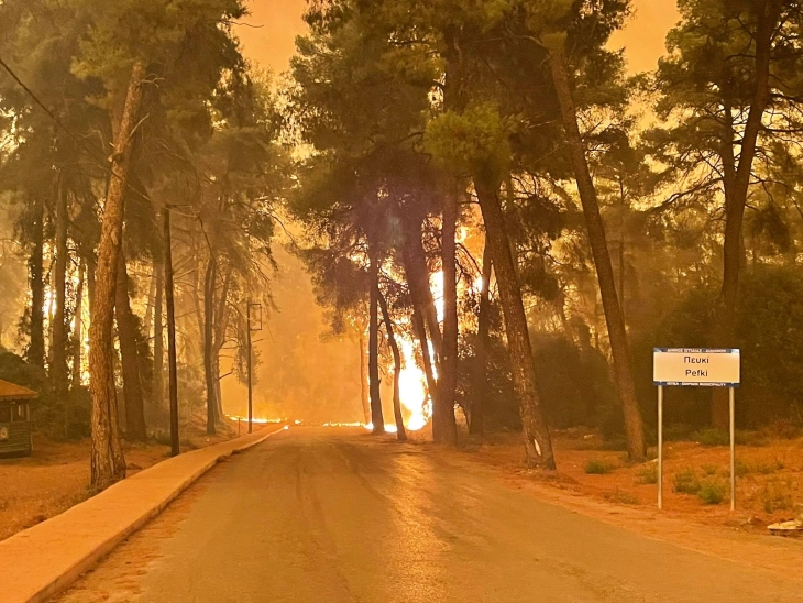 Шумски пожари на грчките острови Хиос и Евија, евакуирани населени места и хотел
