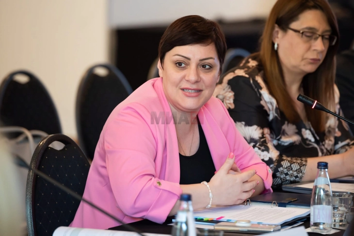 Dimitrieska Koçoska: Institucionet e forta janë motori i vërtetë i ndryshimeve të qëndrueshme