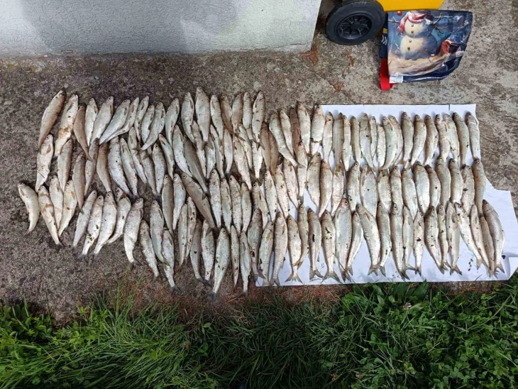 Запленети мрежи со риба и риболовен алат на Охридското Езеро