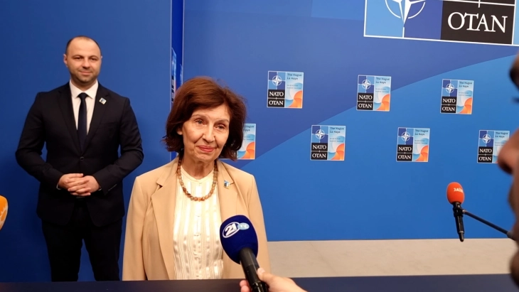 Сиљановска-Давкова имала пријатен разговор со Жељазков во Хаг, но е изненадена од амандманите на бугарските европратеници на извештајот на Вајц