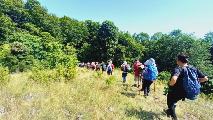 Complete ban on movement in forests from July 1 to August 31