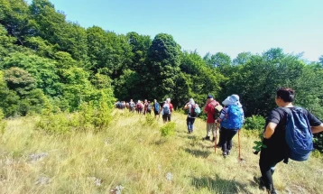 Complete ban on movement in forests from July 1 to August 31