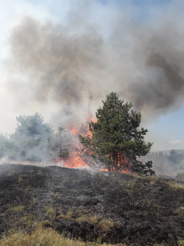 Lipkovo fire extinguished