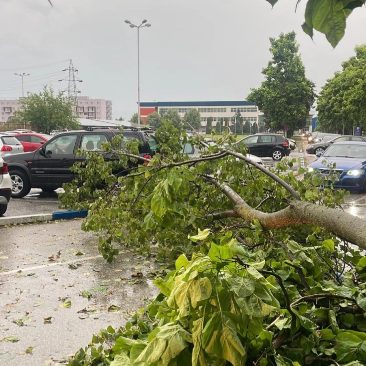 Паднати дрвја и поплавени улици и патишта поради невремето во Тетово