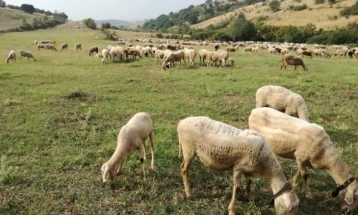 MBPEU: Shpallet thirrje publike për kompensimin e shpenzimeve për mirëmbajtjen e kullotave dhe livadheve malore dhe mbështetje për blegtorinë tradicionale