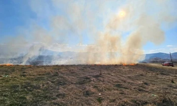 Струмичките пожарникари за два дена гаснеле седум пожари на отворено