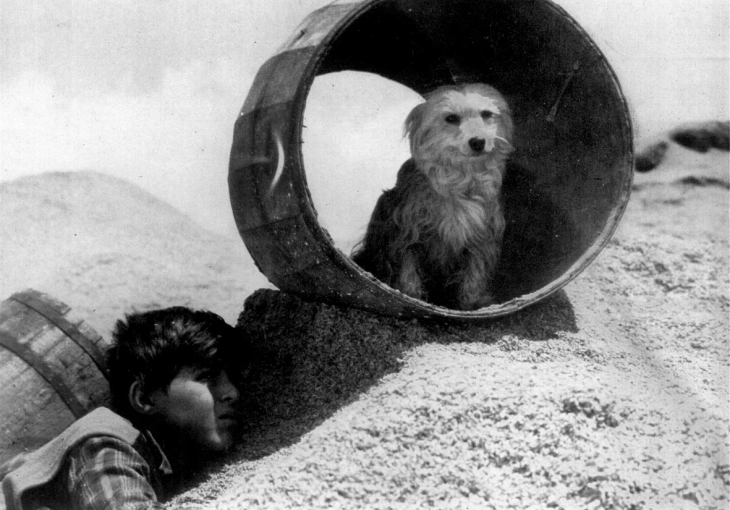 Проекција на седум кусометражни филмови според сценарија на македонски писатели во „Мирно лето“ на „Кинотека“