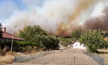 Попладнево избувна голем пожар кај валандовско Грчиште, изгорени неколку штали