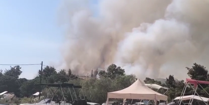 Шумски пожар на вториот крак на Халкидики – порака за евакуација на сите што се во регионот на Вурвуру