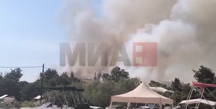 Zjarr pyjor në krahun e dytë të Halkidikit – porosi për evakuim për të gjithë që gjenden në rajonin e Vurvursë