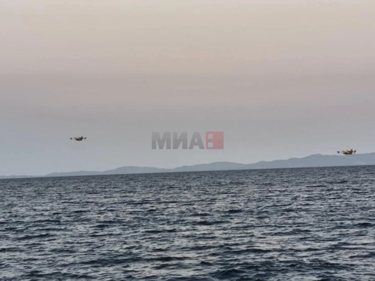 Без активно жариште пожарот на Халкидики – на Крит сè уште активен