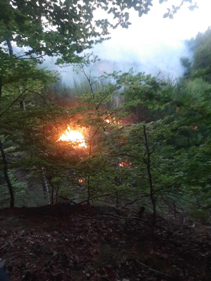 Një pyll i përzier po digjet në Dllaboçicë, komuna e Nagoriçanit të Vjetër (PLT)