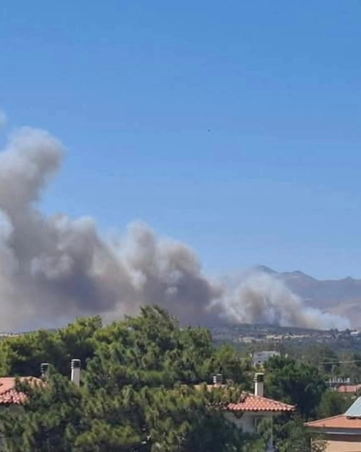 Голем пожар во близина на Атина (ДПЛ)