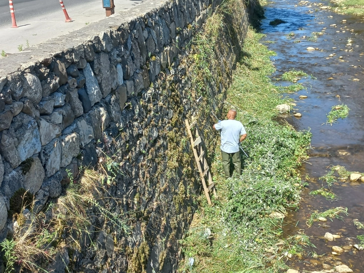Во Битола се чисти коритото на реката Драгор