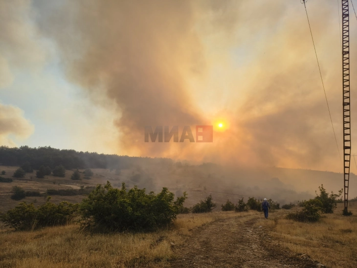 QMK: Zjarri në Çuçer Sandevë jashtë kontrollit