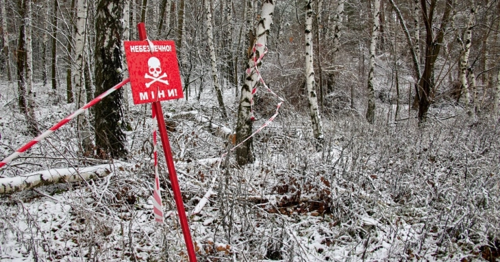Литванија и Финска тргнуваат во масовно производство на мини