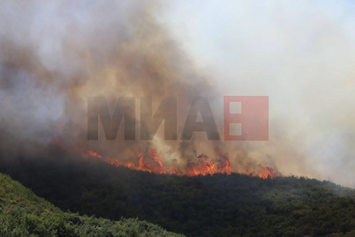 QMK: Nëntë zjarre aktive, nën kontroll katër të tjera