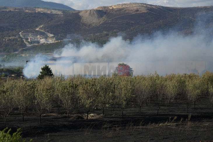 QMK: Aktive janë pesë zjarre, shuhen 19 të tjera