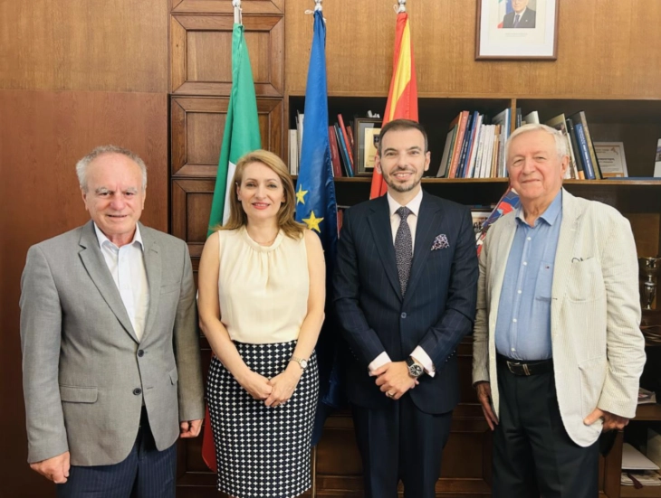 Средба на Советот на амбасадори со италијанскиот амбасадор Паоло Палминтери