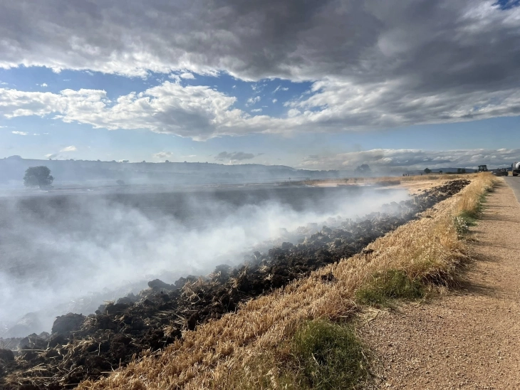 Локализирани поголем дел од пожарите во Куманово и Старо Нагоричане