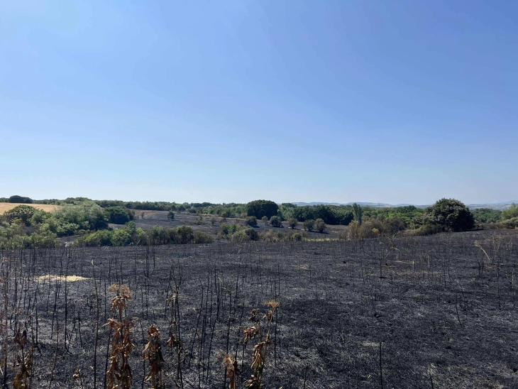 Материјална штета предизвикана од пожарите во кумановско