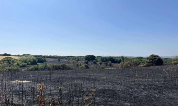 Материјална штета предизвикана од пожарите во кумановско