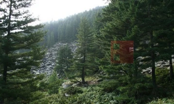 Evakuohet me sukses alpinisti i lënduar në gurishten e Pelisterit