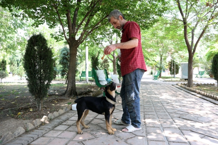 Иран ја проширува забраната за шетање кучиња во дваесетина градови: „Нечисти се и се симбол на Западот“