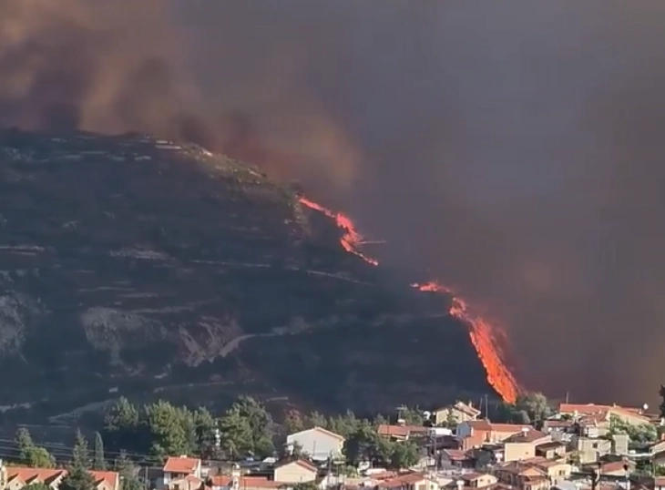 На Кипар поради шумски пожар евакуирани четири села